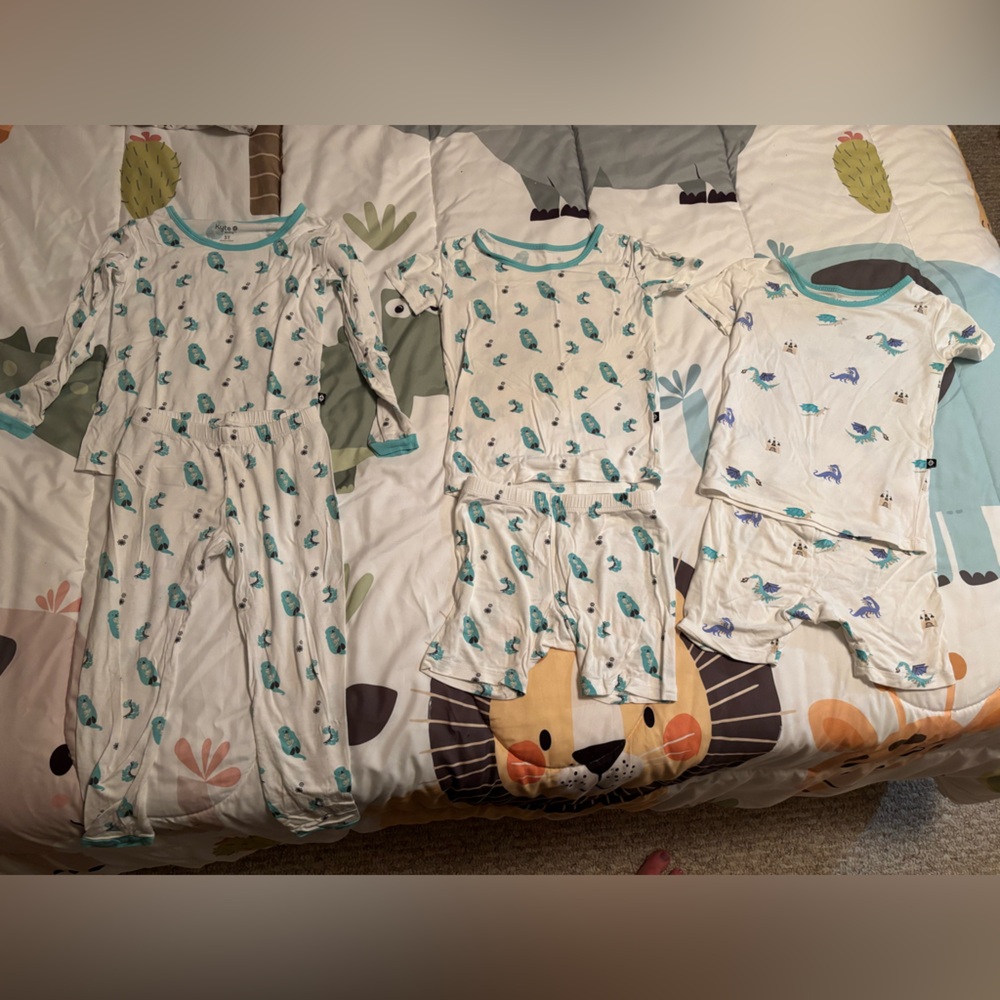 Kyte Baby 3T lot!